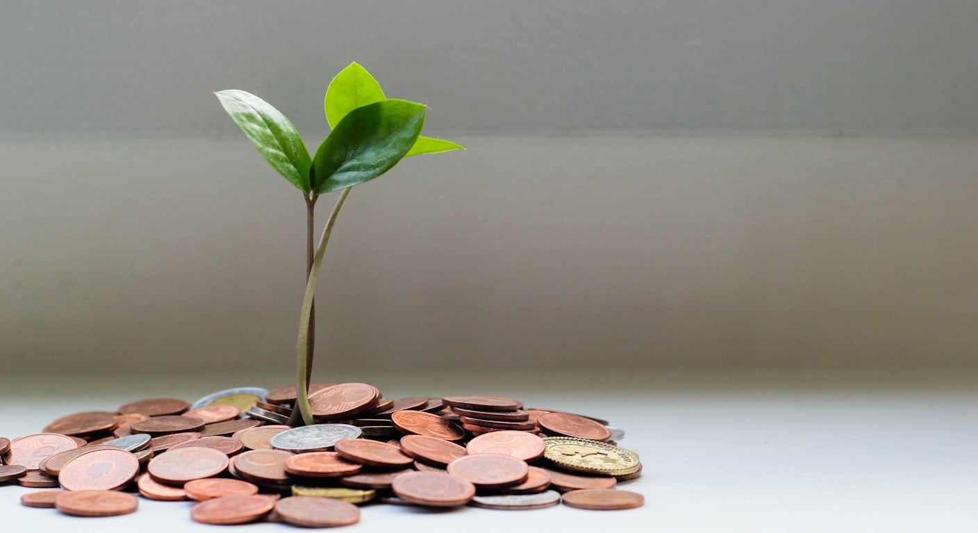 7 Dicas de Negócios para Quem Quer Começar com Menos de R$ 1.000 em 2026 e Dois Já Deram Certo com Lucro de 5 Dígitos